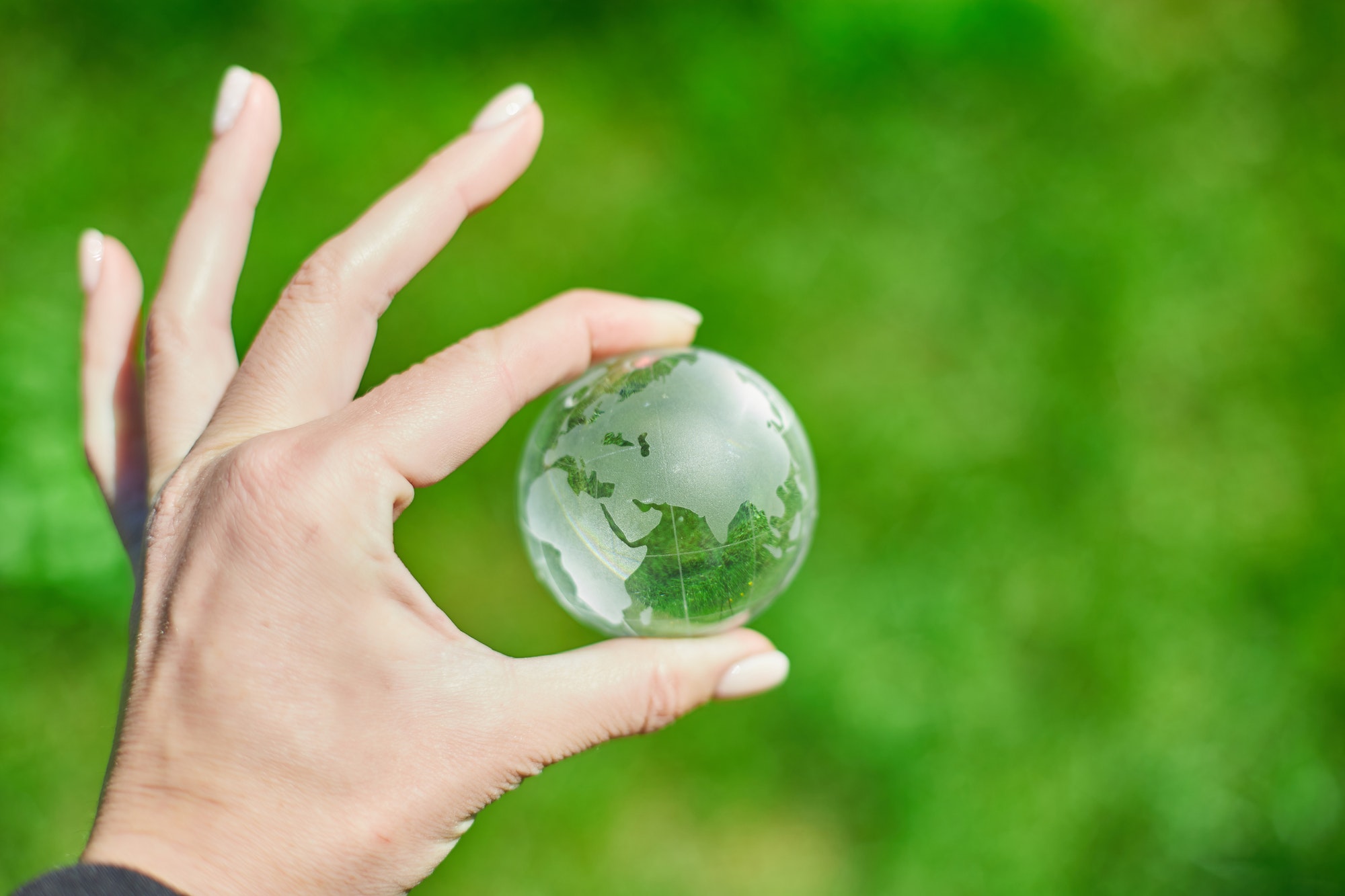 Human hand hold glass Earth globe on green grass background
